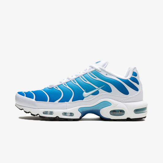 Nike Air Max Plus Blue Gaze