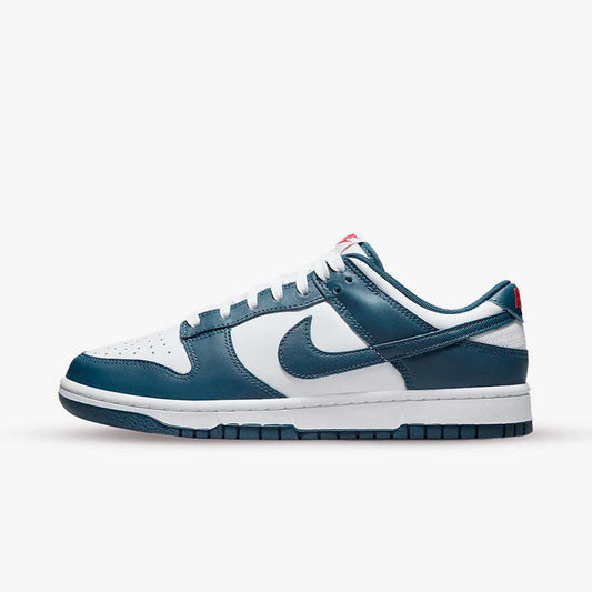 Nike Dunk Low Retro Valerian Blue