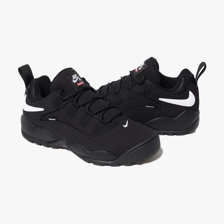 Supreme Nike Sb Darwin Low Black