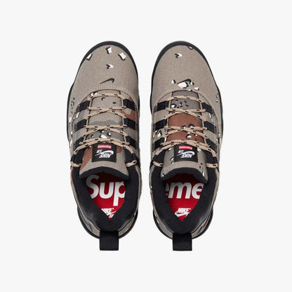 Supreme Nike Sb Darwin Low Desert Camo